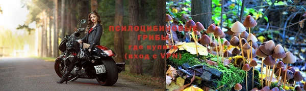 гашик Армянск