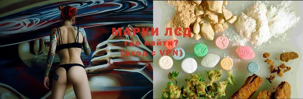 гашик Армянск