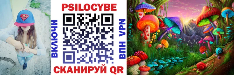 Псилоцибиновые грибы Psilocybine cubensis  как найти закладки  Узловая 